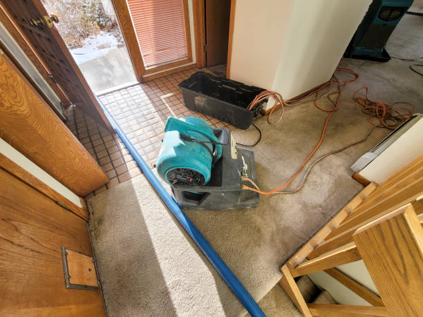 Best 24/7 water damage repair  in North Adams, MA