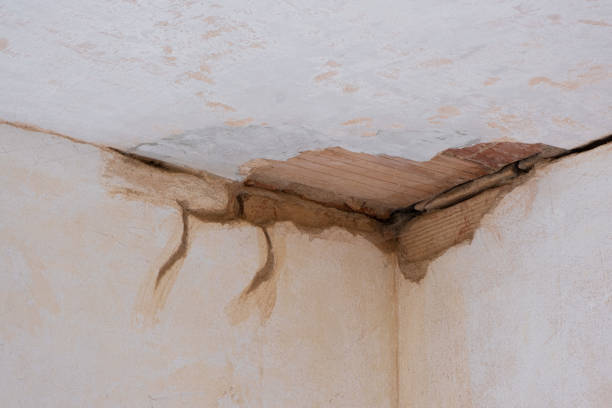 Best Water damage cleanup near me  in North Adams, MA