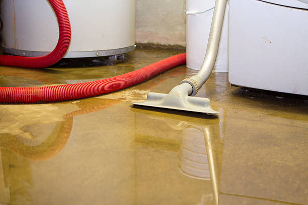 Best Commercial water damage restoration  in North Adams, MA