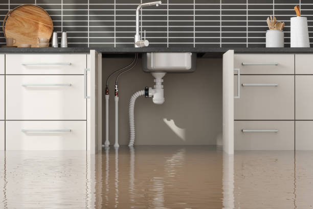 Best Water damage restoration services  in North Adams, MA